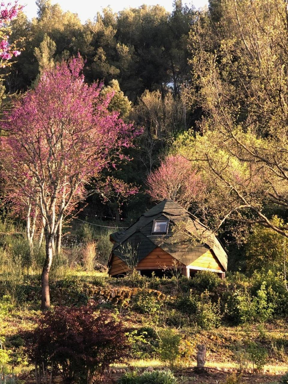 La Villa Du Castel Auriol Εξωτερικό φωτογραφία